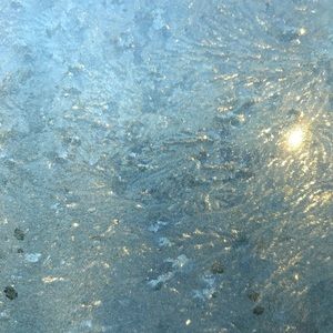 Meet your Posher, Katelynn